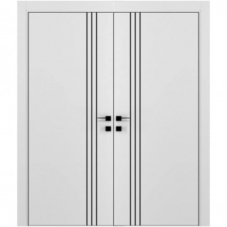 Двері двостулкові DOORIS модель A04
