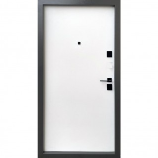 Дверь входная – Трио – Модель Симметрия титан/шелл горизонт