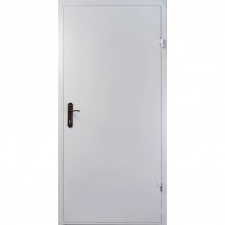 Вхідні двері вуличного типу Протипожежні двері EI-30 RAL 7035