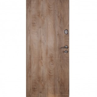 Вхідні двері вуличного типу серія Тріо модель Неаполь-2 RAL 8019/спил попелястий