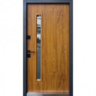 Вхідні двері вуличного типу Proof Mottura мод. Rio-S Loft (дуб золотий)