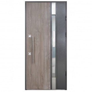 Входная дверь • Proof Sendwich • SDW Rio Р