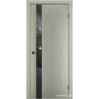 Двері міжкімнатні TERMINUS Solid 802 Аляска дзеркало графіт
