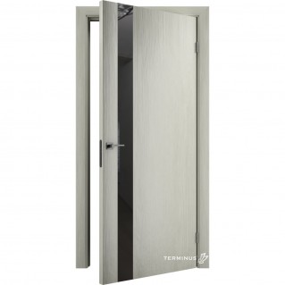 Двері міжкімнатні TERMINUS Solid 802 Аляска дзеркало графіт