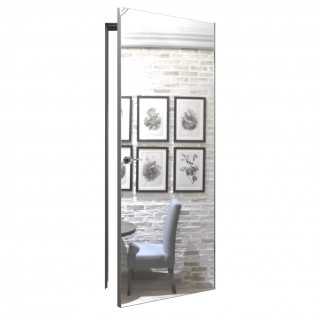 Двері приховані TERMINUS 812 Дзеркало срібло