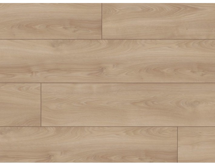 Фото Ламінат MY FLOOR ML1012 Дуб Makro Hell 1 Фото Ламінат MY FLOOR ML1012 Дуб Makro Hell 1