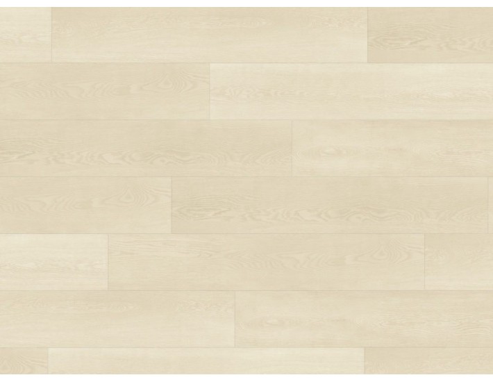 Фото Вінілова підлога Wineo DB00113 Дуб Inspiration Clear 2