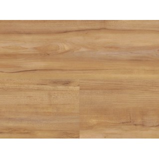 Виниловый пол Wineo DLC00081 Клен Honey Warm