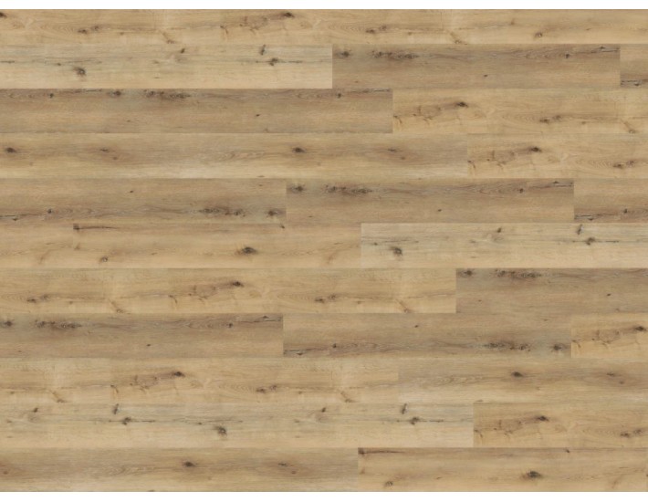 Фото Вінілова підлога Wineo DLC00064 Дуб Corn Rustic 2