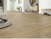 Фото Ламинат KRONOTEX Exquisit Plus 6009 Дуб Elba Natur 2