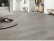 Фото Ламинат KRONOTEX Exquisit Plus 6013 Дуб Elba Silver 2
