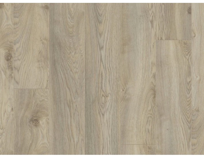 Фото Ламинат KRONOTEX Mammut 3669 Дуб Makro Beige 1