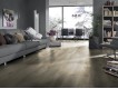 Фото Ламинат KRONOTEX Mammut 3669 Дуб Makro Beige 2