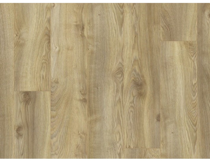 Фото Ламинат KRONOTEX Mammut 4794 Дуб Makro Natur 1