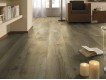 Фото Ламинат KRONOTEX Mammut 4794 Дуб Makro Natur 2