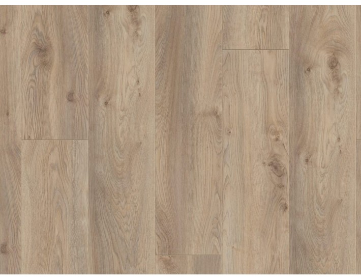 Фото Ламинат KRONOTEX Mammut Plus 3669 Дуб Makro Beige 1