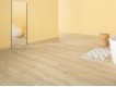 Фото Ламінат QUICK STEP SIG4763 Дуб шліфований натуральний 2 Фото Ламінат QUICK STEP SIG4763 Дуб шліфований натуральний 2