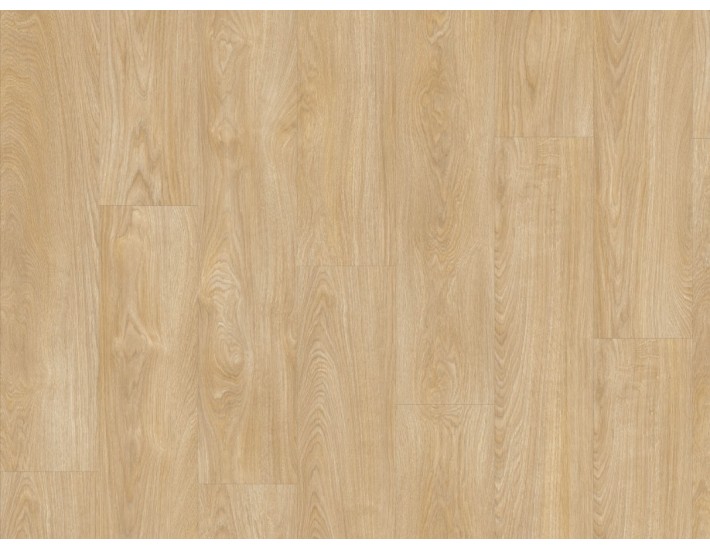 Фото Вінілова підлога IVC Moduleo Roots 51282 Дуб Laurel 1