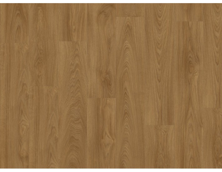 Фото Вінілова підлога IVC Moduleo Roots 51822 Дуб Laurel 1