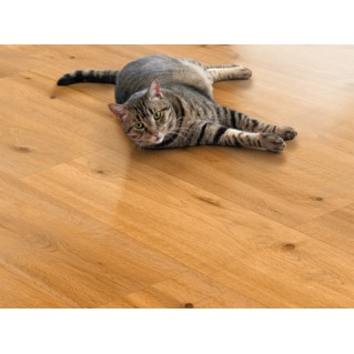 Вінілова підлога SPC Ceramin ECO Vinyl 56593 Patagonia