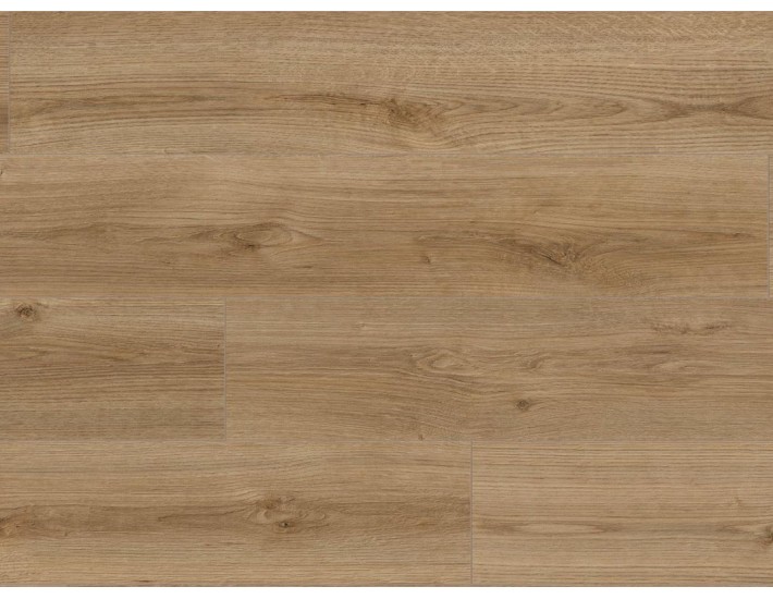Фото Ламінат KAINDL K4421 Дуб Evoke Trend 1 Фото Ламінат KAINDL K4421 Дуб Evoke Trend 1