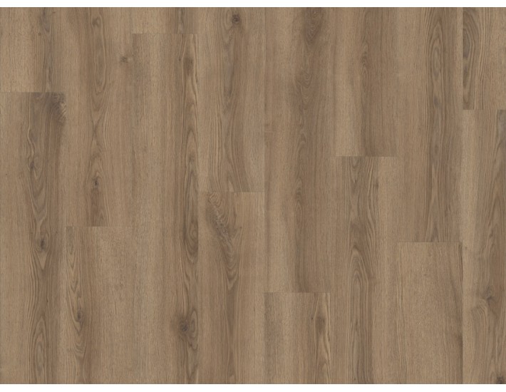 Фото Вінілова підлога IVC DIVINO Drayback 84864 Дуб Barley 1