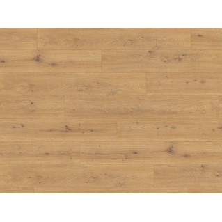 Ламинат Egger Classic Aqua 32/8 EL2009 Дуб Предайа медовый