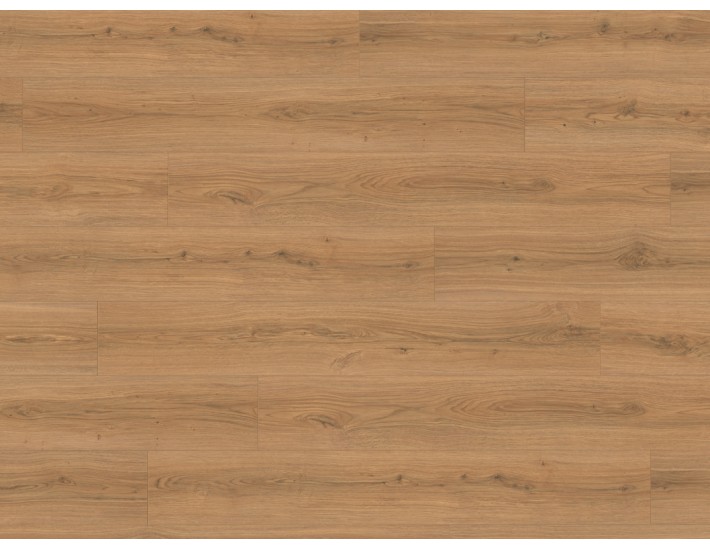 Фото Ламинат Egger Classic Aqua Plus 33/8 EL2172 Дуб Падуя медовый 1