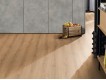Фото Ламинат Egger Classic Aqua Plus 33/8 EL2172 Дуб Падуя медовый 2